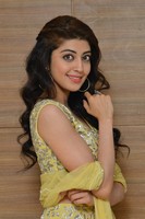 Pranitha at Hello Guru Prema Kosame Movie Success Meet